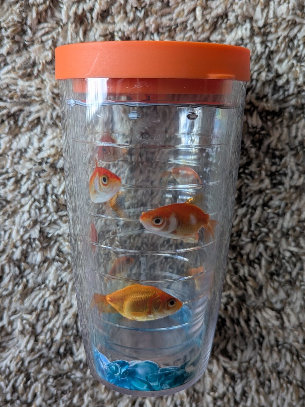 Tervis Clear Cute Goldfish Cup with Orange Lid